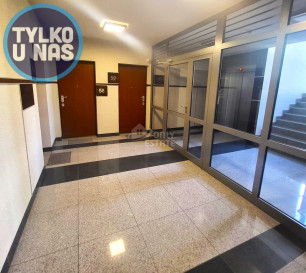 Mieszkanie Wynajem Kraków Grzegórzecka